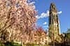 William L. Harkness Hall at Yale University